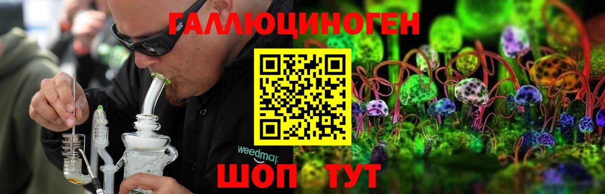 Хабаровск  Галлюциногенные грибы мицелий  Галлюциногенные грибы Magic Shrooms  Вход с VPN 